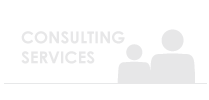 Consulting Services